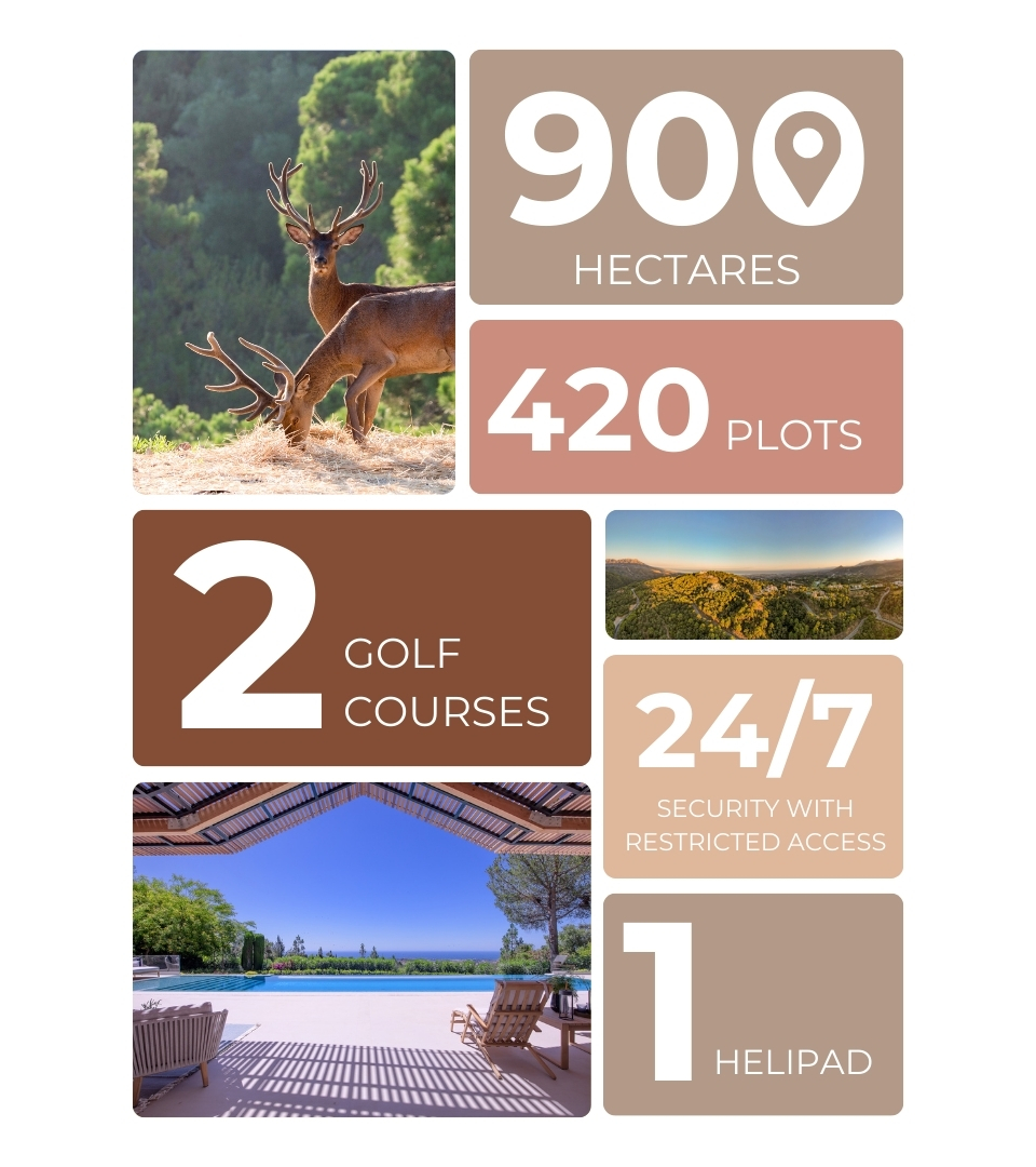 La Zagaleta Infografía1 