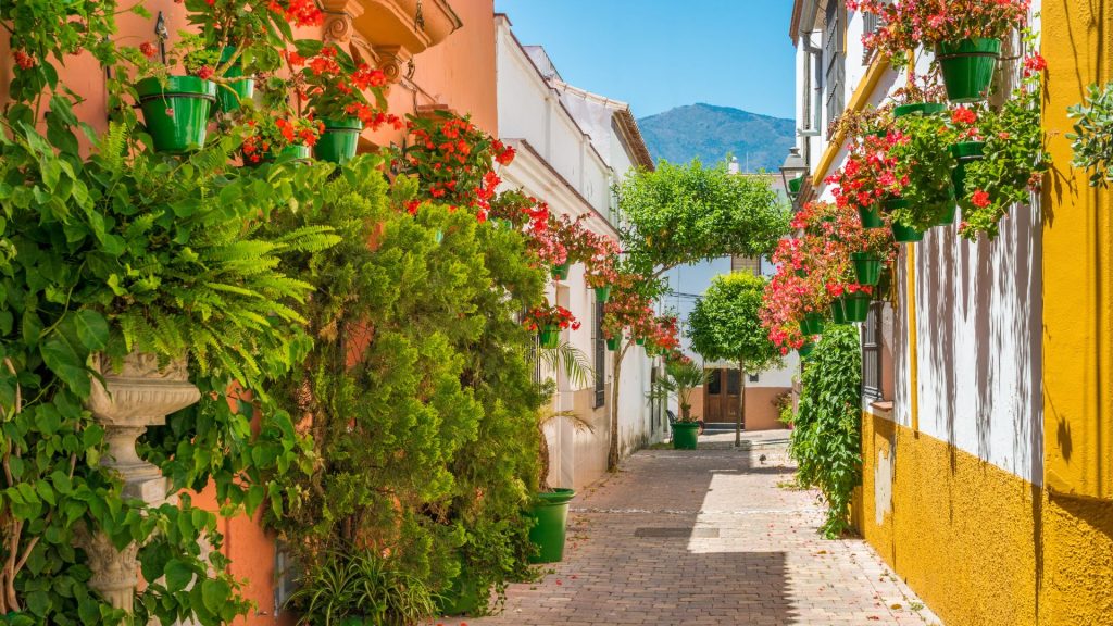 Tagesausflüge ab Marbella: Estepona